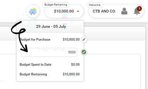 BudgetEdit copy